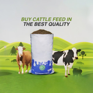 Buy High-Quality Cattle Feed Graphic For Instagram