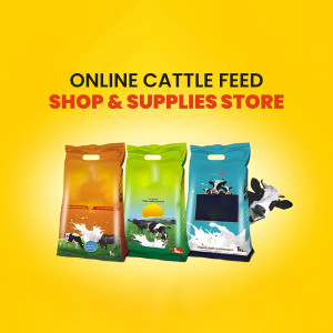 Online Cattle Feed Shop & Supplies Design For Google Business Profile