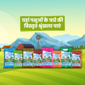 Animal Feed Products Marketing Image For LinkedIn