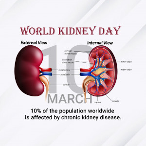 World Kidney Day Awareness Poster For Telegram