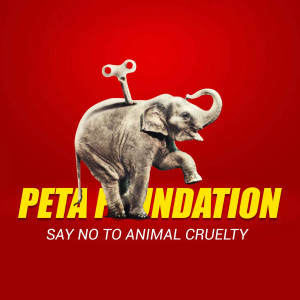 PETA Foundation - Say No To Animal Cruelty Post For LinkedIn