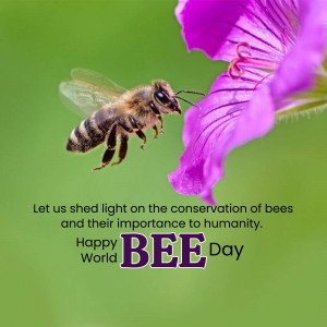 Happy World Bee Day Promotional Banner For WhatsApp