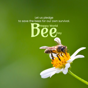 World Bee Day - Save The Bees Banner For Twitter