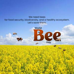 World Bee Day - Save The Bees Promotional Banner For Facebook