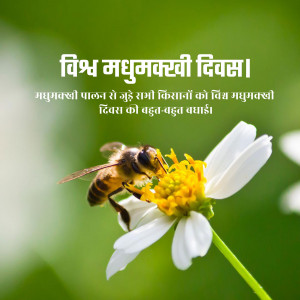 A bee collecting nectar from a white and yellow flower with text in Nepali celebrating World Honey Bee Day.