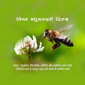 A bee on a white clover flower with text in Hindi celebrating World Honey Bee Day.