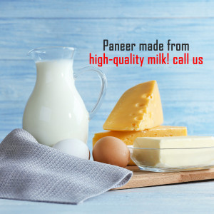 Paneer, milk, cheese, eggs, and butter arranged on a wooden board.