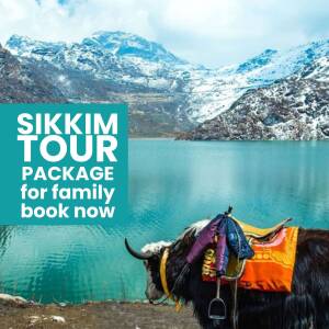 Yaks with saddle and Sikkim Tour Package advertisement with mountains and lake in the background