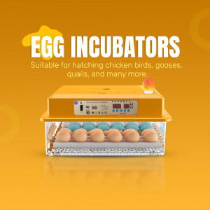 Yellow egg incubator with eggs inside, suitable for chickens, birds, and more.