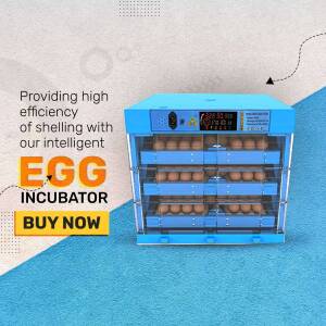 Blue egg incubator machine with eggs inside, displaying temperature and humidity readings.
