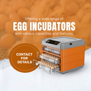 Egg Incubator - Hatching Solutions Poster For Facebook