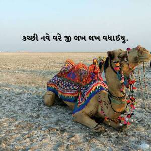 A camel adorned with colorful textiles resting in a desert landscape.