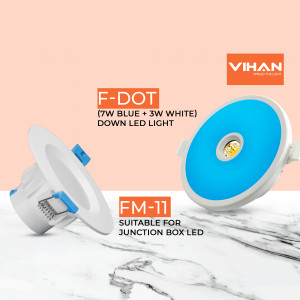 Vihan F-DOT 7W Blue + 3W White Down LED Light FM-11