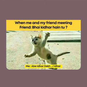 A meme featuring a cat in a funny pose with text about meeting a friend.