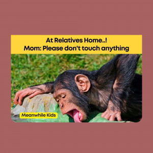 A humorous image depicting a chimpanzee making a silly face with text about kids at relatives' homes.