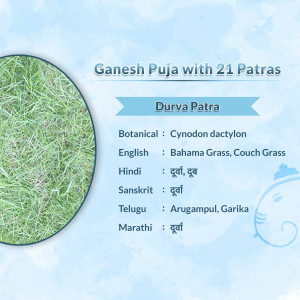 Ganesh Puja Durva Patra Branding Post For Facebook