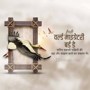 Image depicting a stork flying towards a wooden frame with text celebrating World Migratory Bird Day.