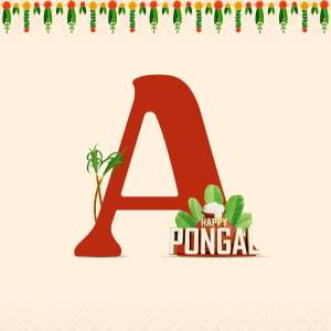 Letter A with Pongal decorations