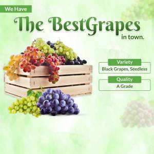 A promotional image showcasing various types of fresh grapes.