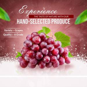 Close-up of a bunch of fresh, red grapes with a white background and text promoting hand-selected produce.