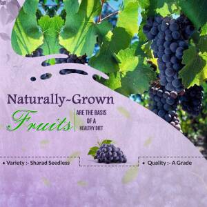 Close-up of dark purple grapes on the vine with text overlay promoting naturally grown fruits.