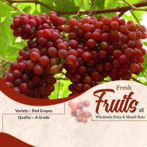 Close-up of a bunch of fresh red grapes hanging from the vine with a promotional banner.