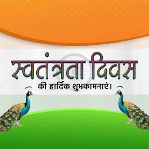 Decorative Indian Independence Day graphic featuring two peacocks and the Indian tricolor.