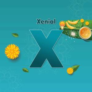 Xenial logo with traditional food elements