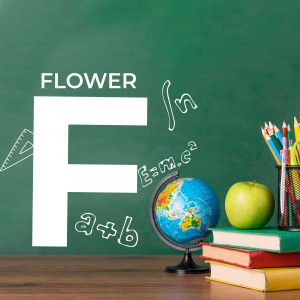 A chalkboard with the letter 'F', school supplies, and educational elements.