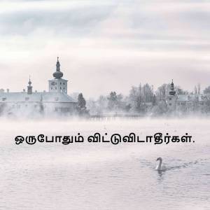 A serene winter scene featuring a church, a lake, and a swan.