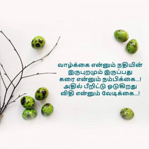Close-up of speckled quail eggs scattered around a delicate branch on a white background with Tamil text.
