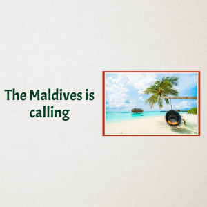 A beautiful beach scene in the Maldives with a hammock and palm trees.
