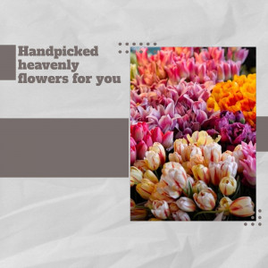 Close-up of a vibrant bouquet of hyacinths and other colorful flowers.