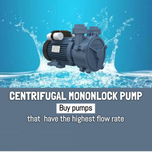Centrifugal Monoblock Pump with water splash