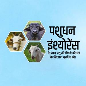 Image depicting livestock animals - cow, buffalo, and goat - with text promoting Pashudhan Insurance.