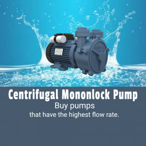 Centrifugal Monoblock Pump for Water Transfer