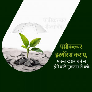 A green sprout growing under a protective umbrella on cracked earth, symbolizing crop insurance.