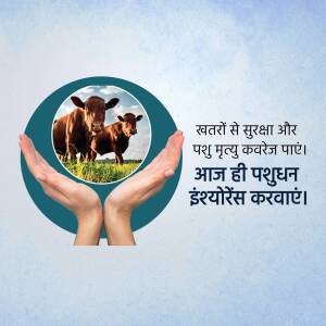 Image depicting hands cradling a scene of cows in a field, promoting livestock insurance.