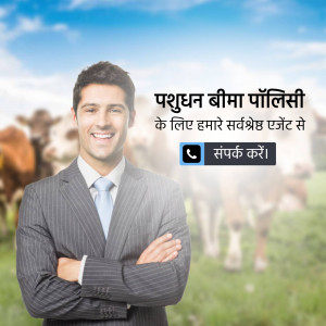 Man in a suit standing in front of cows with insurance policy text in Hindi