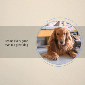 A Man's Best Friends Flyer For Twitter