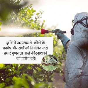 A person in a protective suit spraying pesticides on a crop with text in Hindi about controlling pests and diseases.