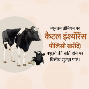 Image of a cow and calf with text promoting cattle insurance.