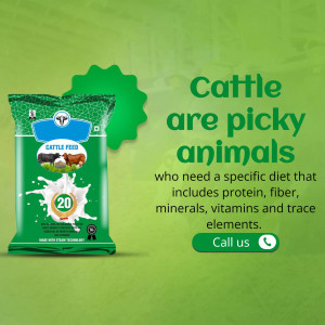 Image of a cattle feed bag with text promoting a specific diet for picky animals.