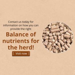 Close-up of animal feed pellets with text promoting balanced nutrition for livestock.