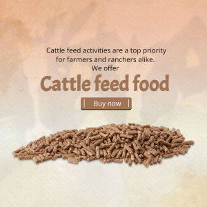 Pile of brown cattle feed pellets with text promoting cattle feed food and a buy now button.