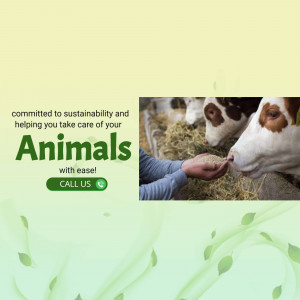 A person feeding cows with hay, promoting animal care and sustainability.