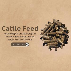 Pile of brown cattle feed pellets on a tan background with text 'Cattle Feed'