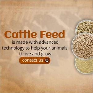 Image of cattle feed pellets with text promoting advanced nutrition for animals.