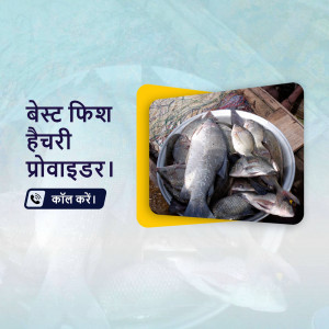 A silver basin filled with fresh fish, with text in Hindi advertising a fish hatchery provider.