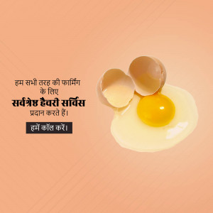 Broken egg with yolk and text about poultry farming services